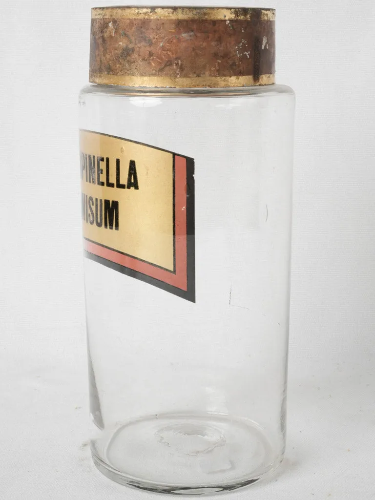 19th-century glass apothecary jar "Pimpinella Anisum" - 10¾"
