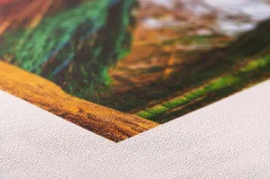 Breathing Color Brilliance Chromata White 17"x40
