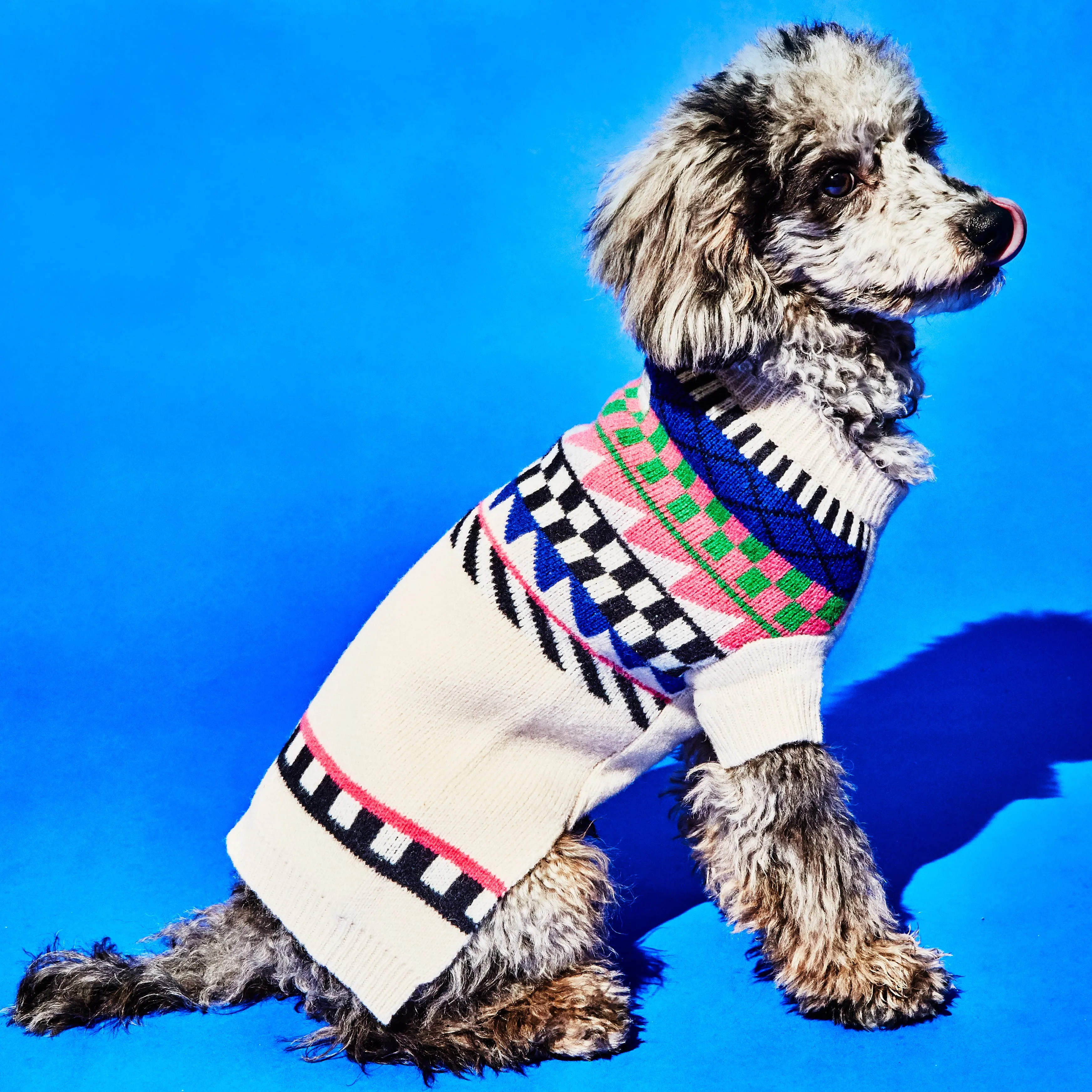 Fairisle White Sweater | Dog Sweater