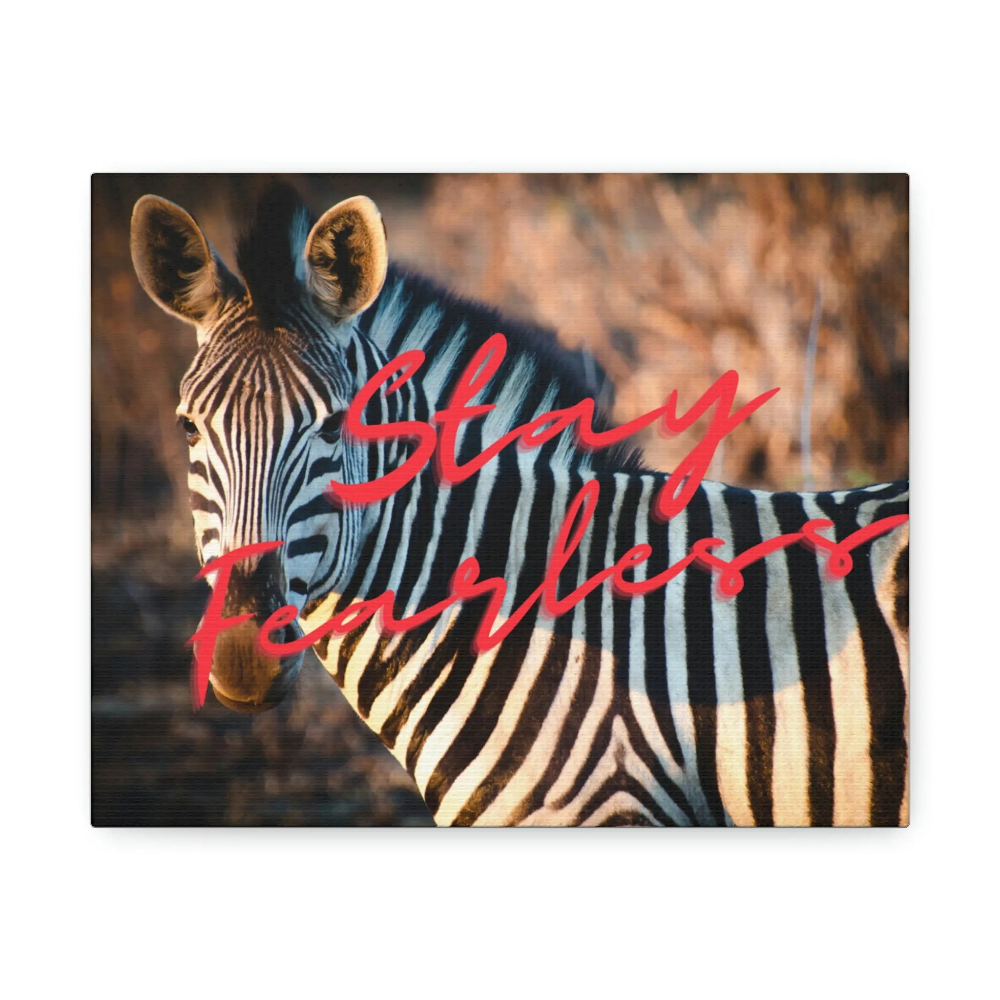 Zebra Stay Fearless Stretched Canvas