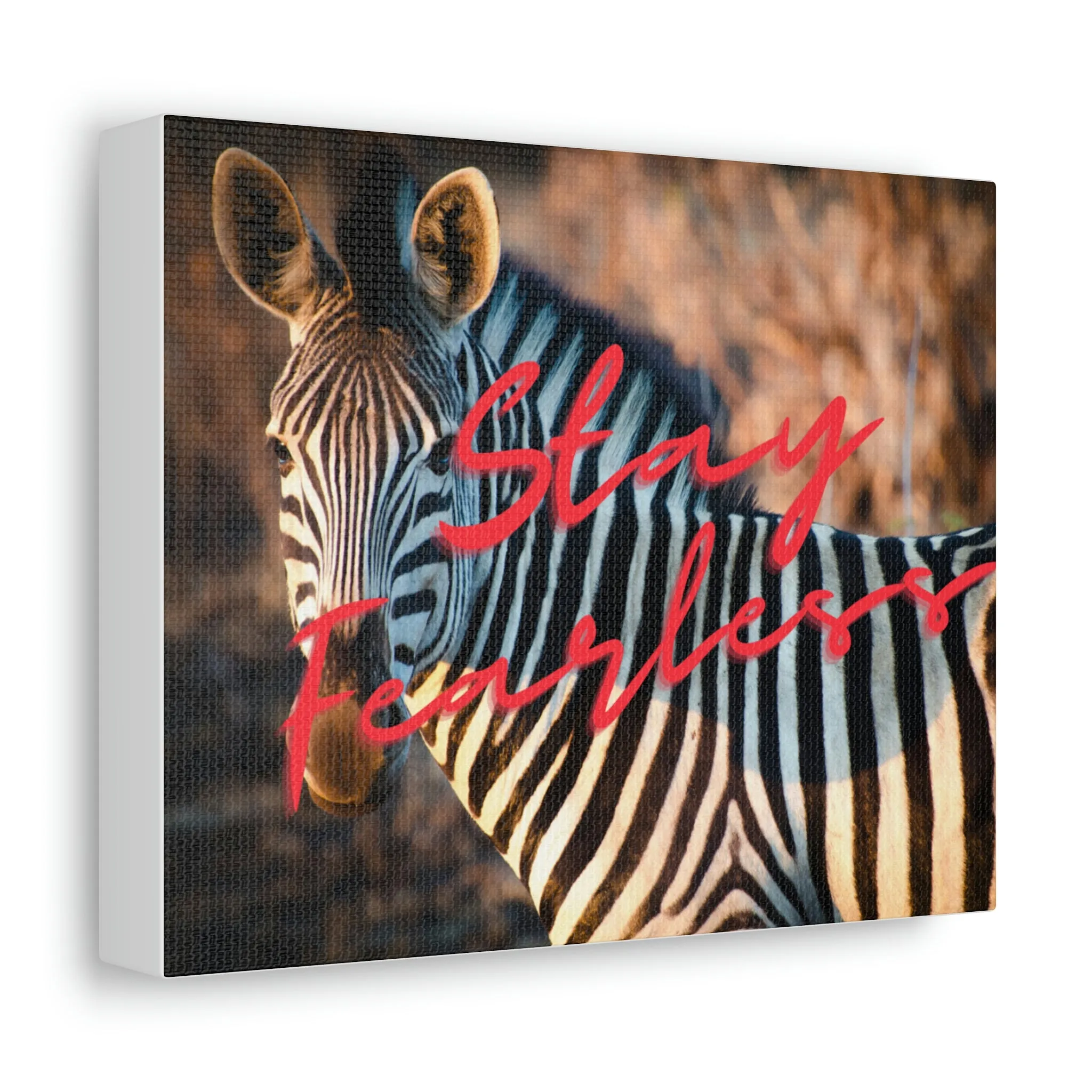 Zebra Stay Fearless Stretched Canvas
