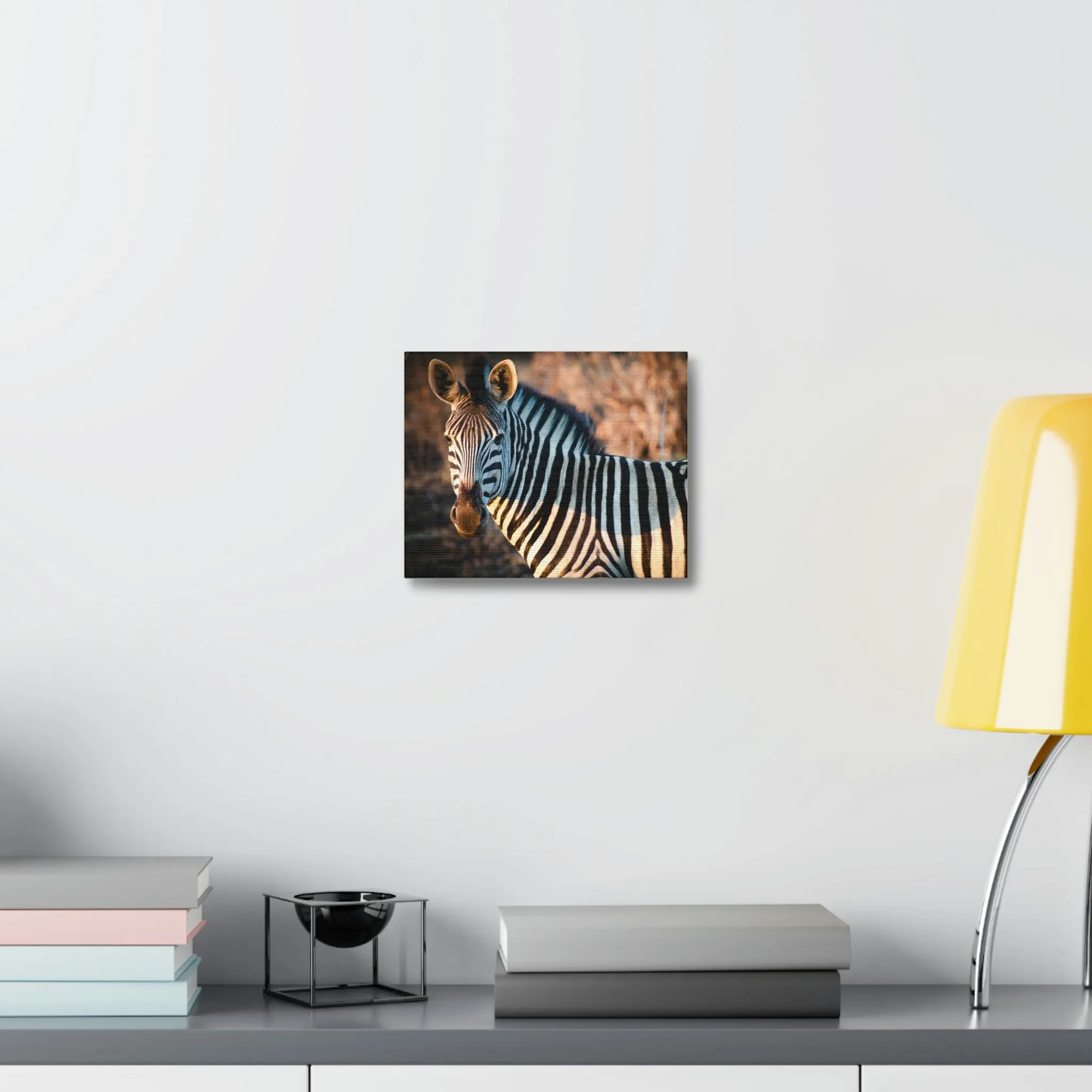 Zebra Stretched Canvas